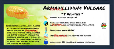 Armadillidium Vulgare T Negative Isopod Bin Label